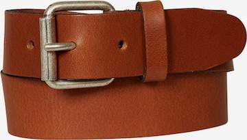 Petrol Industries Ремень в Коричневый: спереди