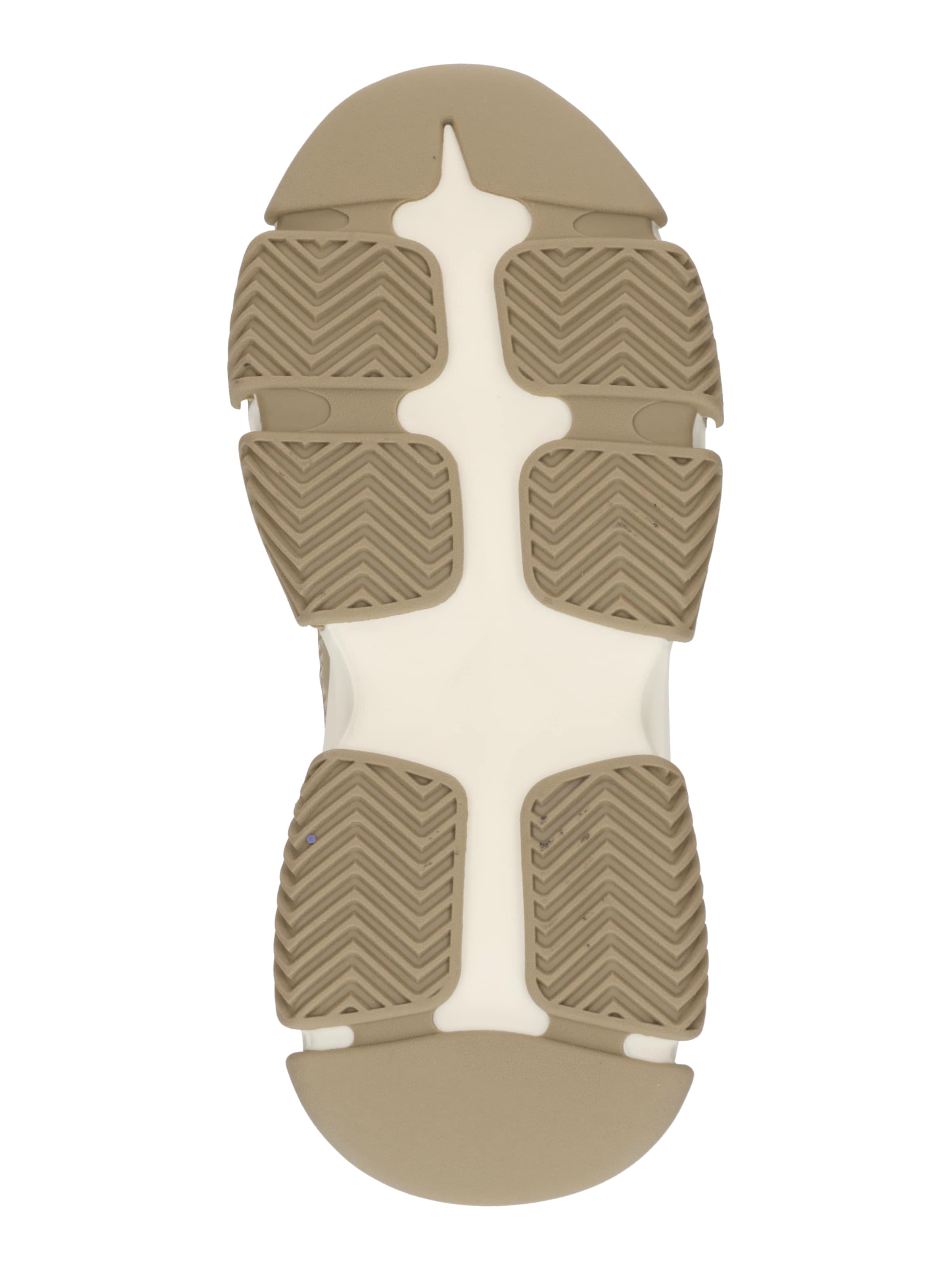 Sneaker bassa 'Dragon' di STEVE MADDEN in beige: inferiore