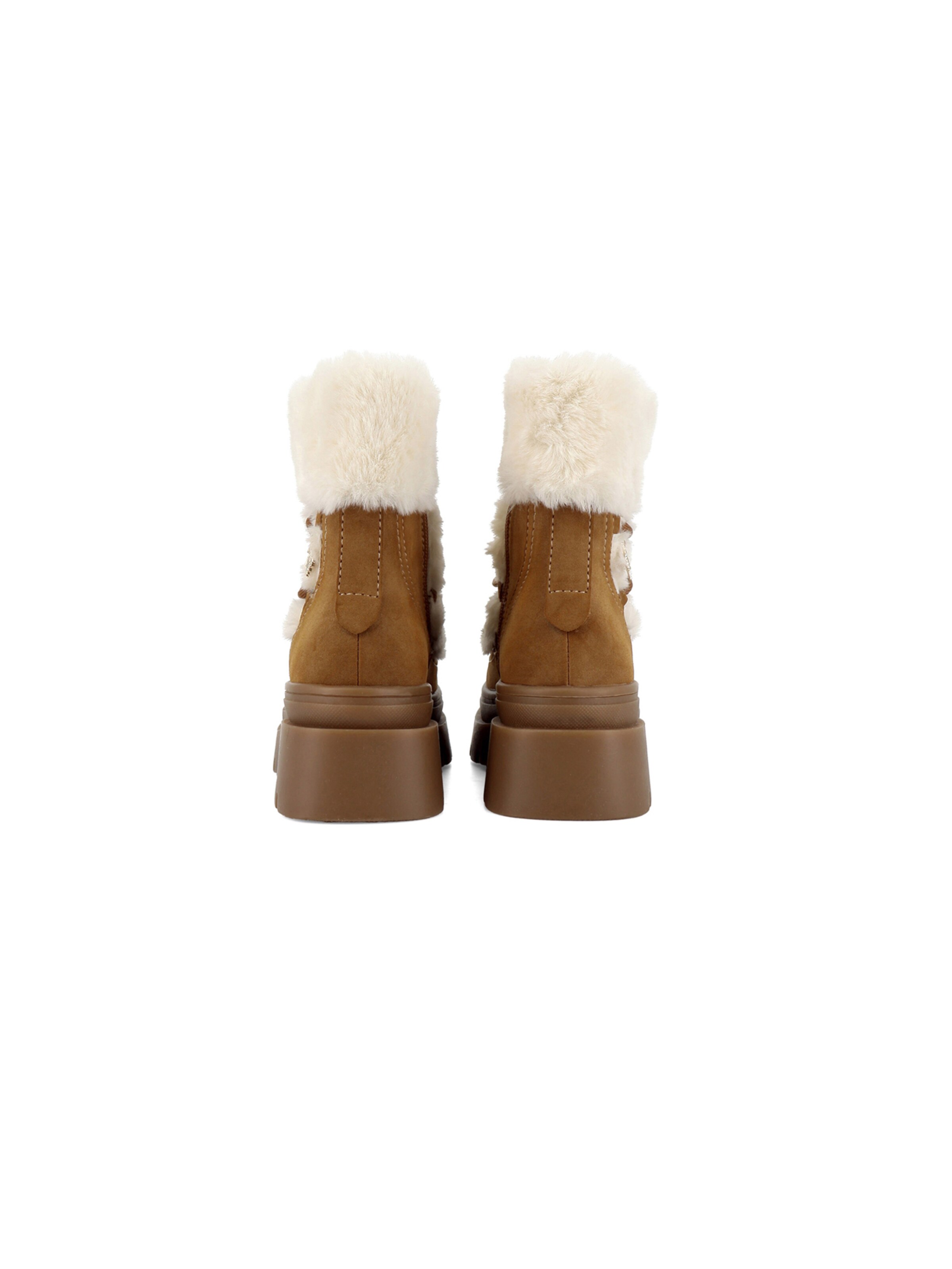 Bottines à lacets 'Shona' US POLO ASSN. en marron