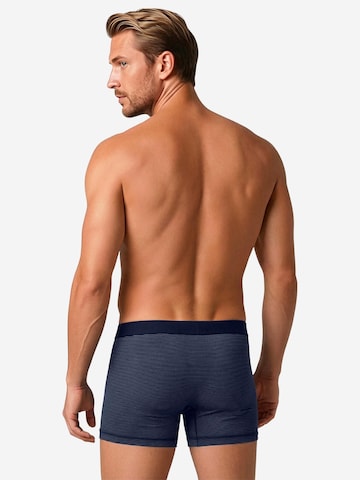 ESGE Boxer shorts 'Feinripp Ringel' in Blue