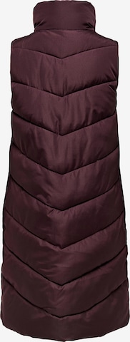 Gilet 'Finno' JDY en marron