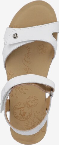 PANAMA JACK Sandals 'Sulia B' in White