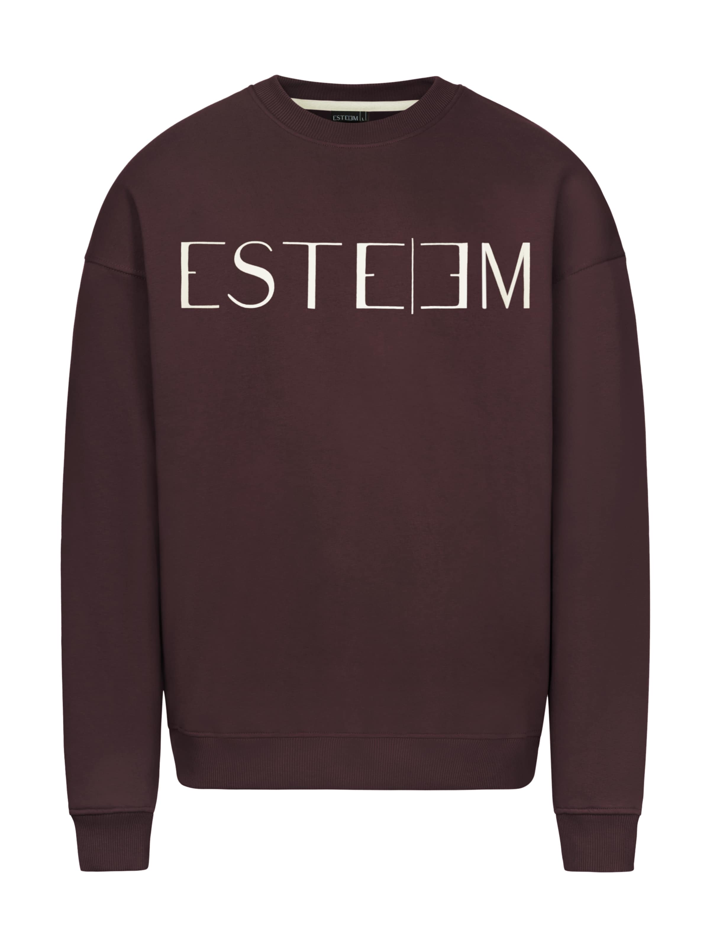 ESTEEM Sweatshirt i brun: forside