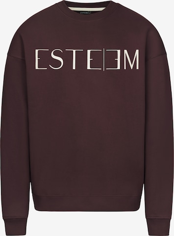 ESTEEM Sweatshirt in Bruin: voorkant