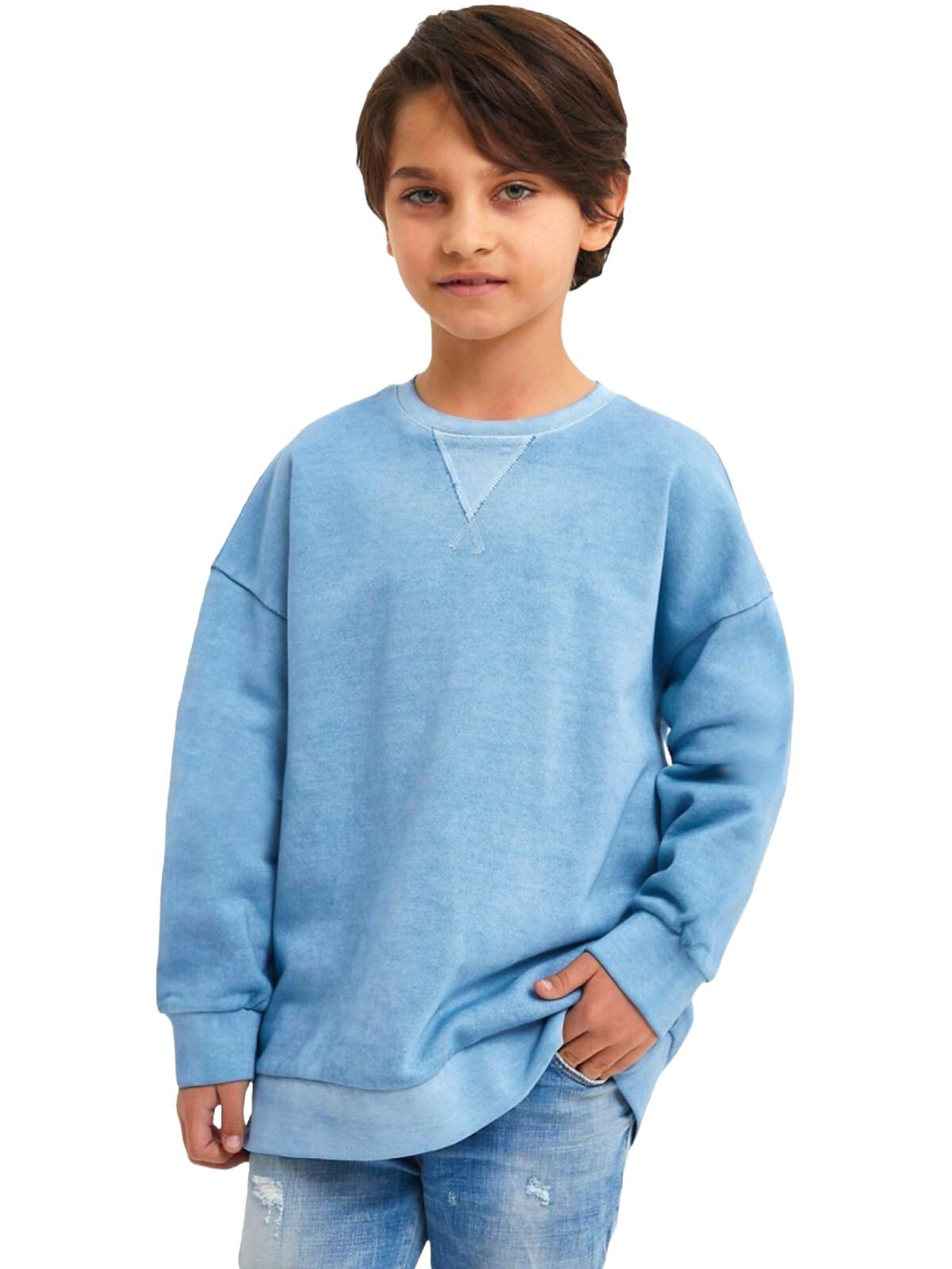 LTB Jeans Sweatshirt 'Basic'‌‌ in Blau