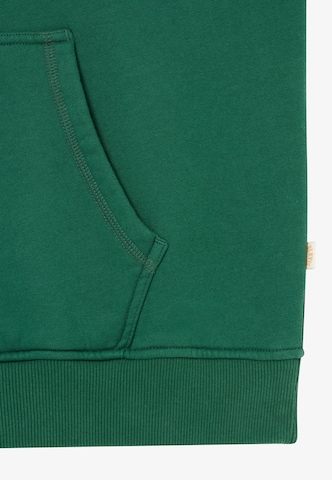 BLKVIS Sweatshirt in Green