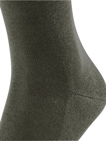 FALKE Socks 'Family' in Green