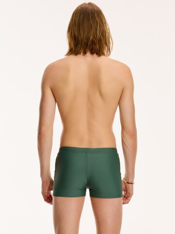 Shiwi Kopalne hlače | zelena barva