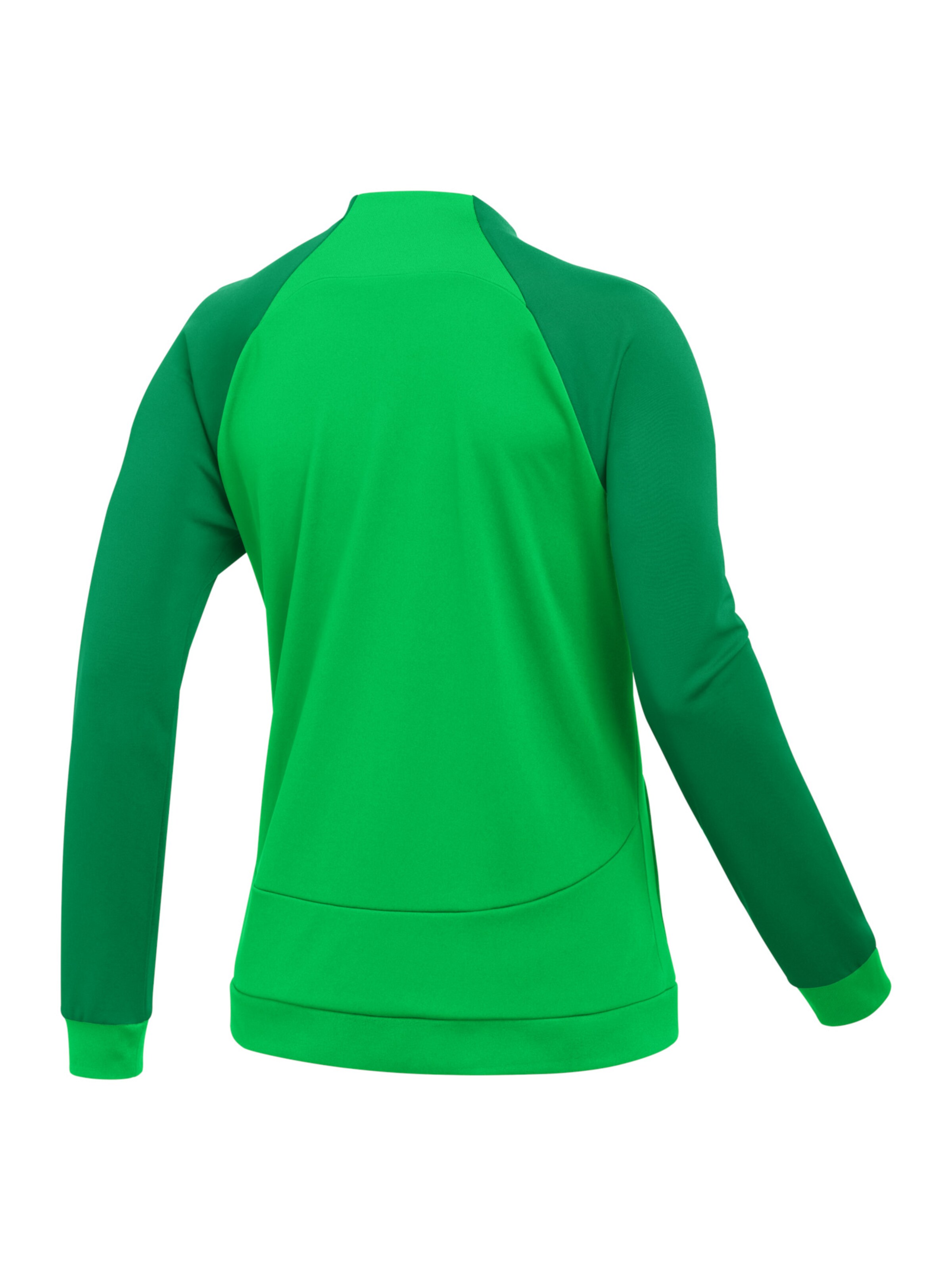NIKE Athletic Jacket 'Academy Pro' in Green