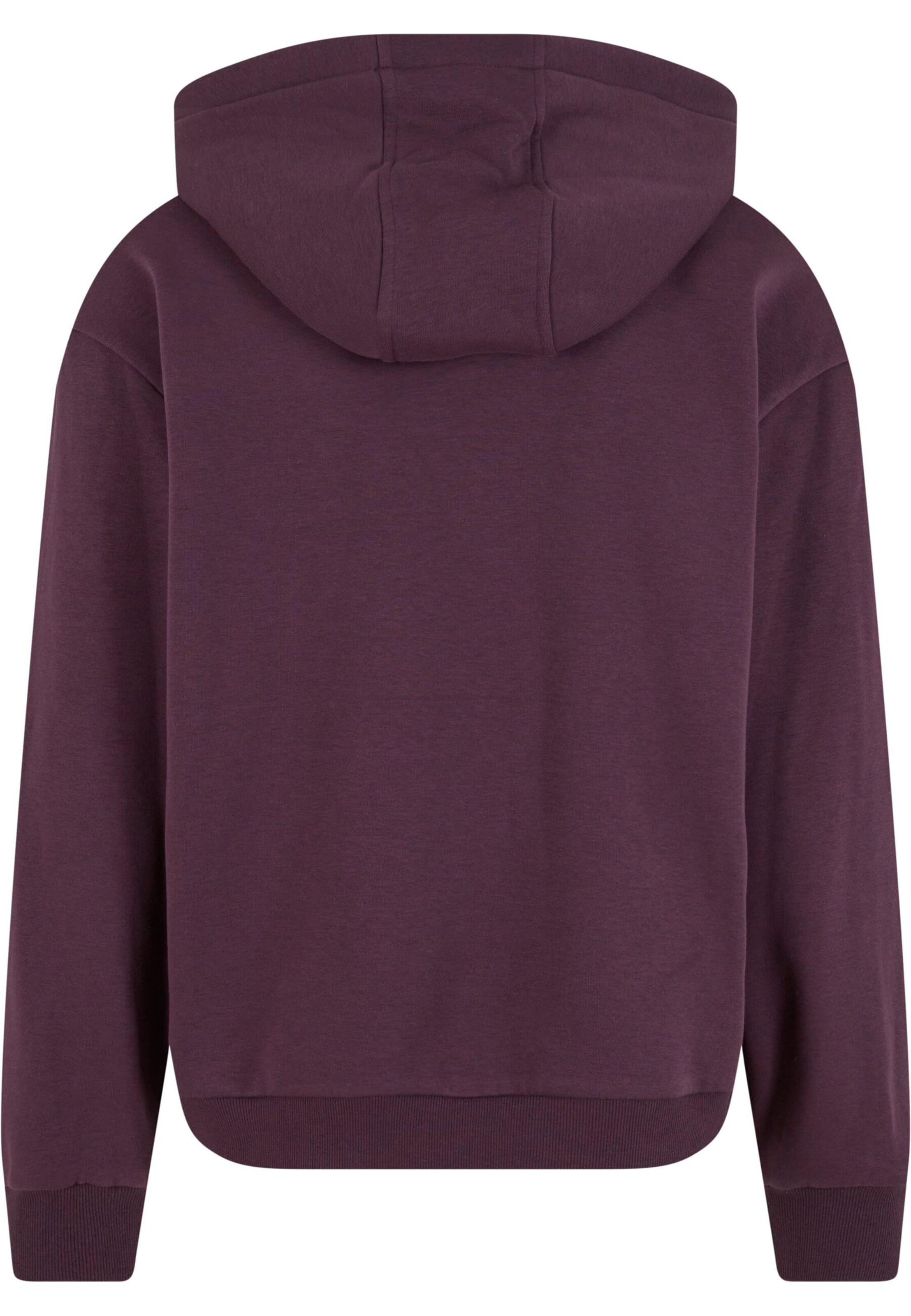 Urban Classics Sweatshirt in Purple