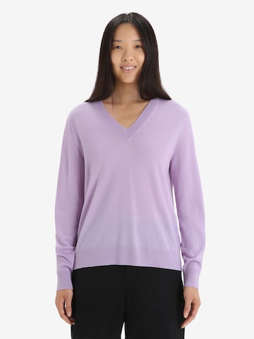 ICEBREAKER Sports sweater 'Wilcox' in Purple: front