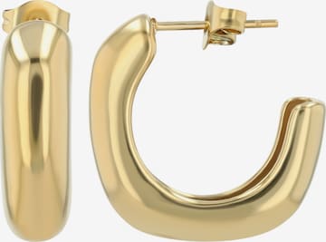Akzent Ohrringe 'Vilma, langlebig' in Gold: Vorderseite