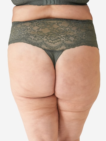 String 'Lace Basic' SugarShape en vert