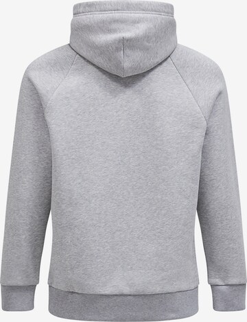 PEAK PERFORMANCE Kapuzensweatshirt in Grau