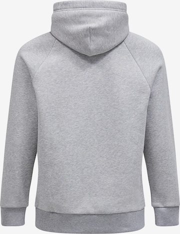 PEAK PERFORMANCE Kapuzensweatshirt in Grau