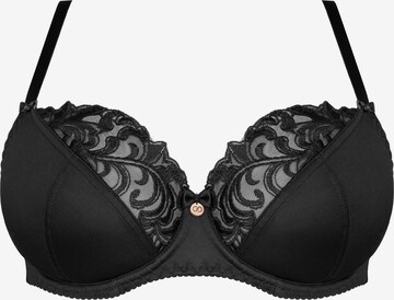Gorsenia BH 'K378 Victoria' in Schwarz: Vorderseite