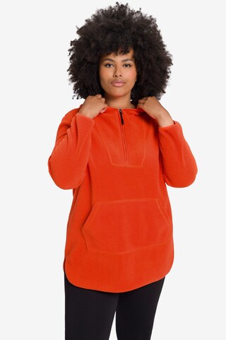 Ulla Popken Pullover in Orange: predná strana