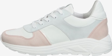 Sneaker bassa di Steven New York in bianco