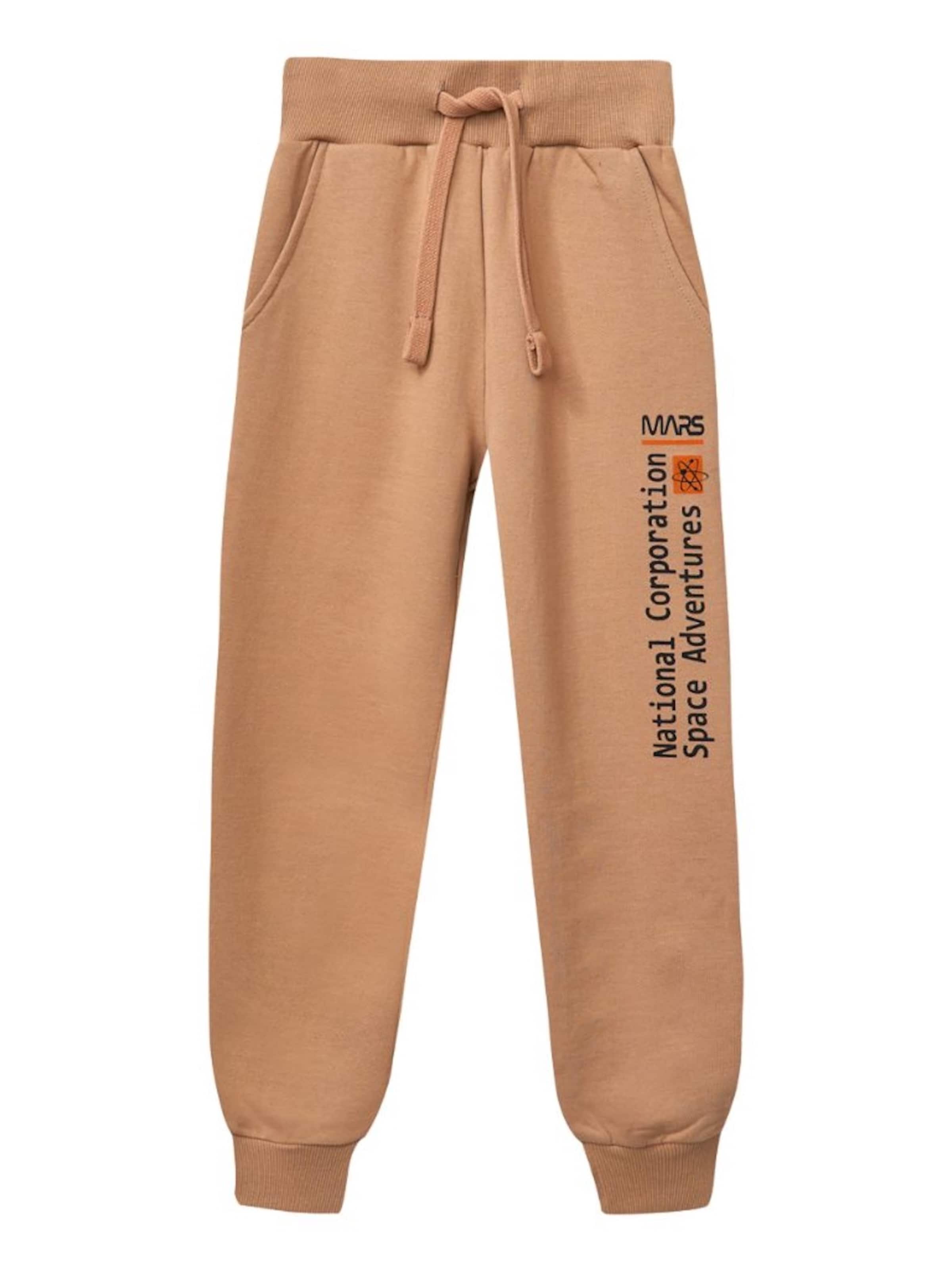 WINKIKI Regular Pants in Beige: front
