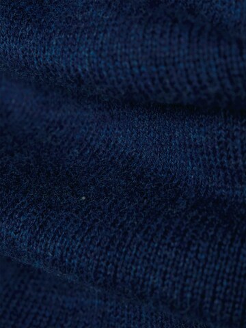 Nils Sundström Trui in Blauw