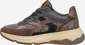 Floris van Bommel Sneaker 'Holli 01' in Braun: Vorderseite