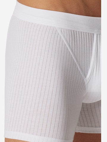 SCHIESSER Boxershorts 'Cotton Essentials Authentic'‌‌‌‌‌ in Weiß