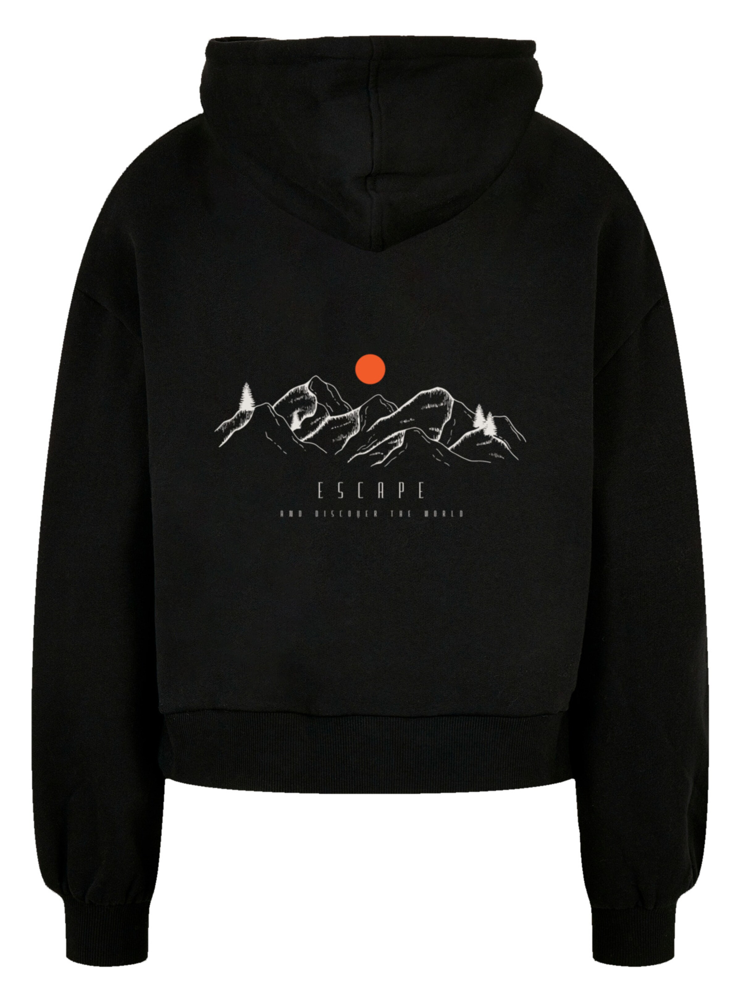 F4NT4STIC Sweatshirt in Black