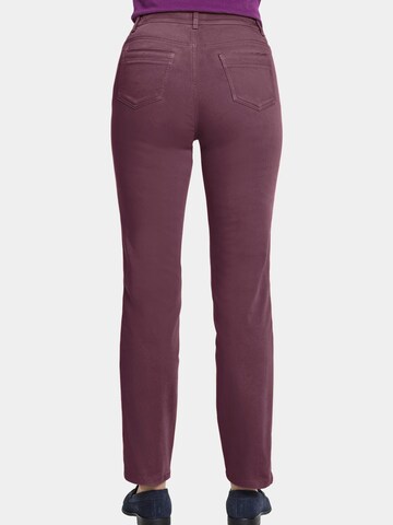 Goldner Regular Trousers in Purple