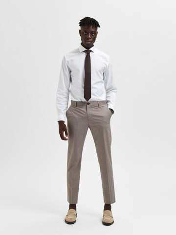 SELECTED HOMME Regular Trousers with creases 'Liam' in Brown