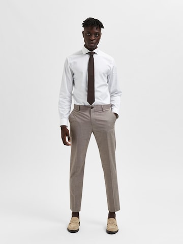 SELECTED HOMME Regular Pleated Pants 'Liam' in Brown