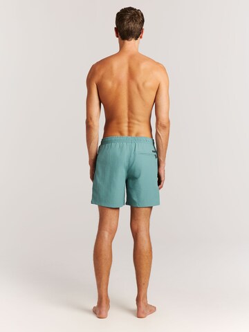PROTEST Swimming shorts 'Faster' in Green