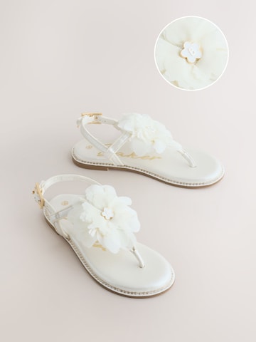 Sandalo di Baker by Ted Baker in bianco