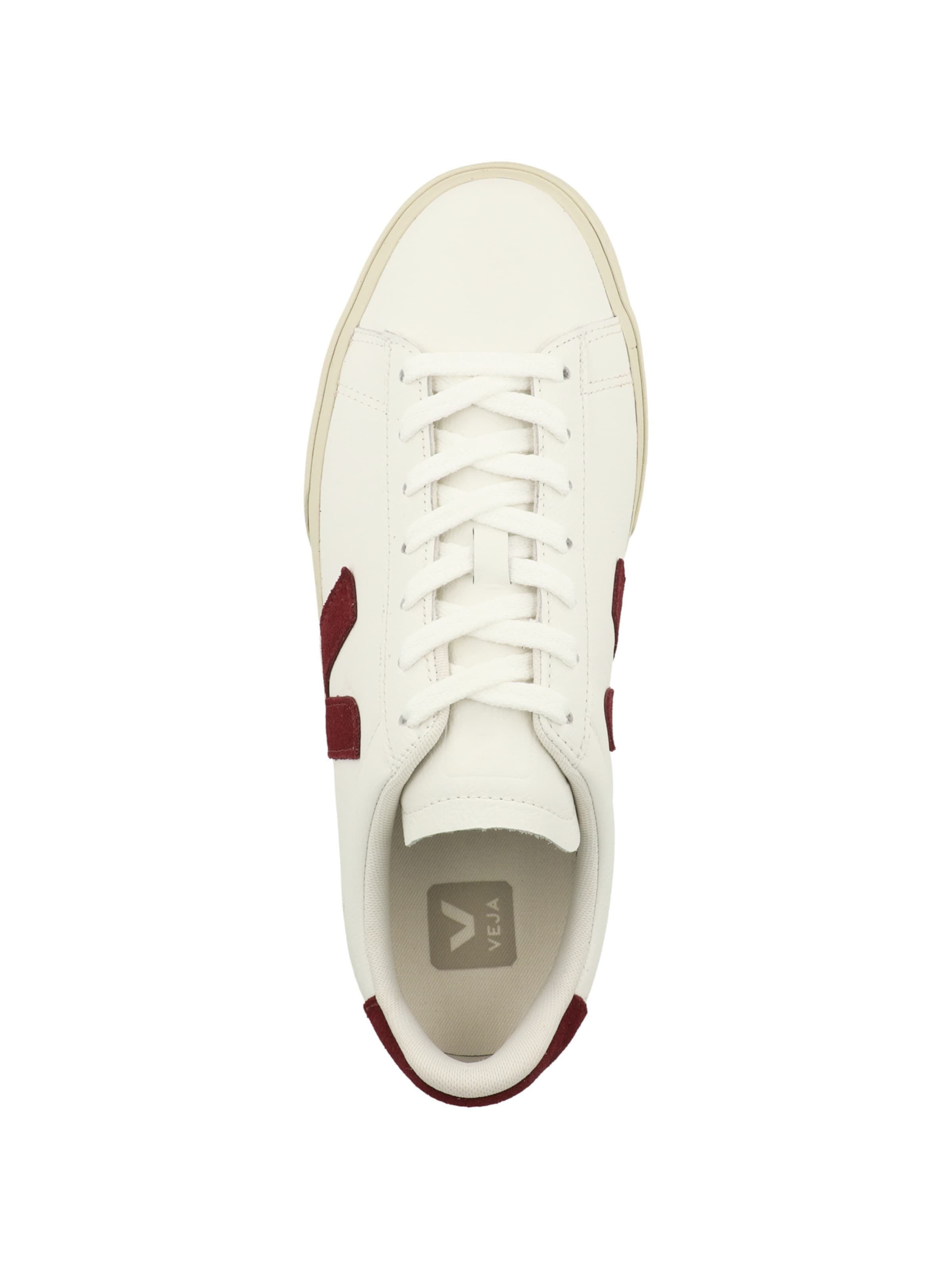 Veja Platform trainers ' Campo' in White: top