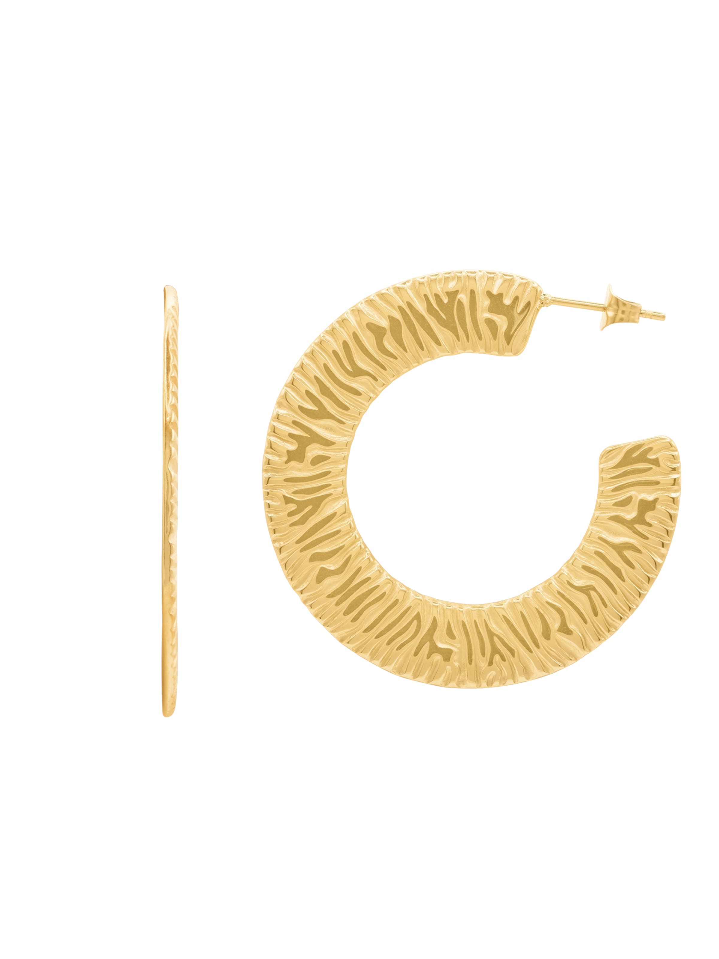 Heideman Earrings in Gold: front