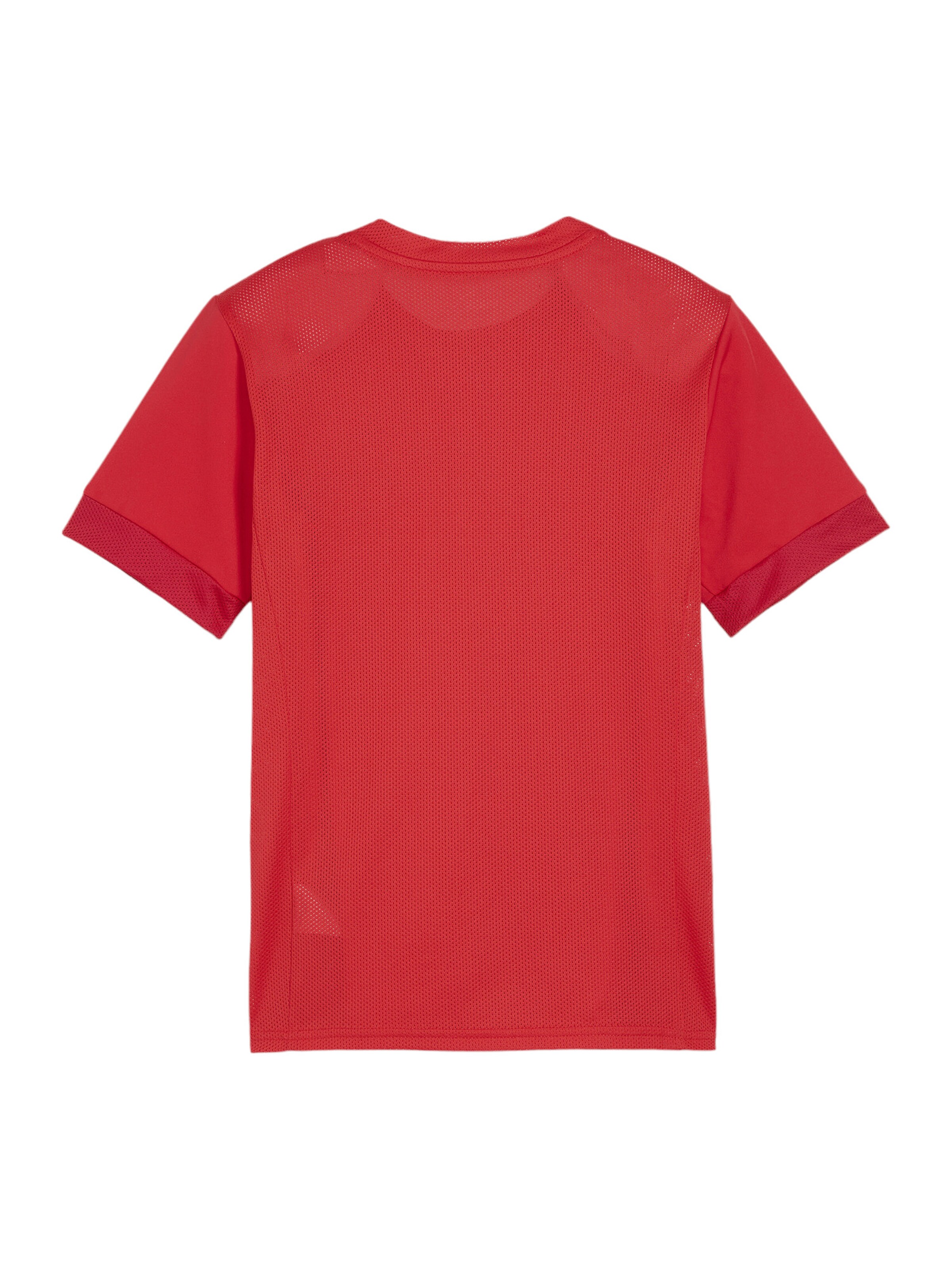 PUMA Funktionsshirt in Rot