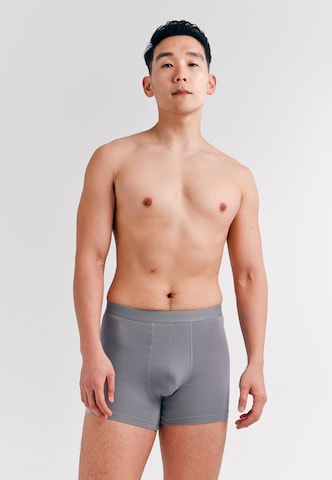 Boxers Erlich Textil en gris : devant