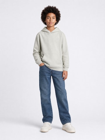 Petrol Industries Sweatshirt in Grau