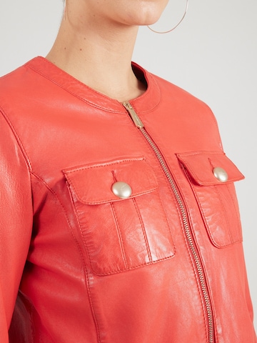 sarkans OAKWOOD Starpsezonu jaka 'SUSAN'