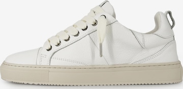 Dutch'D Sneaker low 'Charm ERA' in Beige: Vorderseite