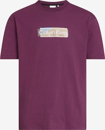 T-Shirt Calvin Klein en violet : devant