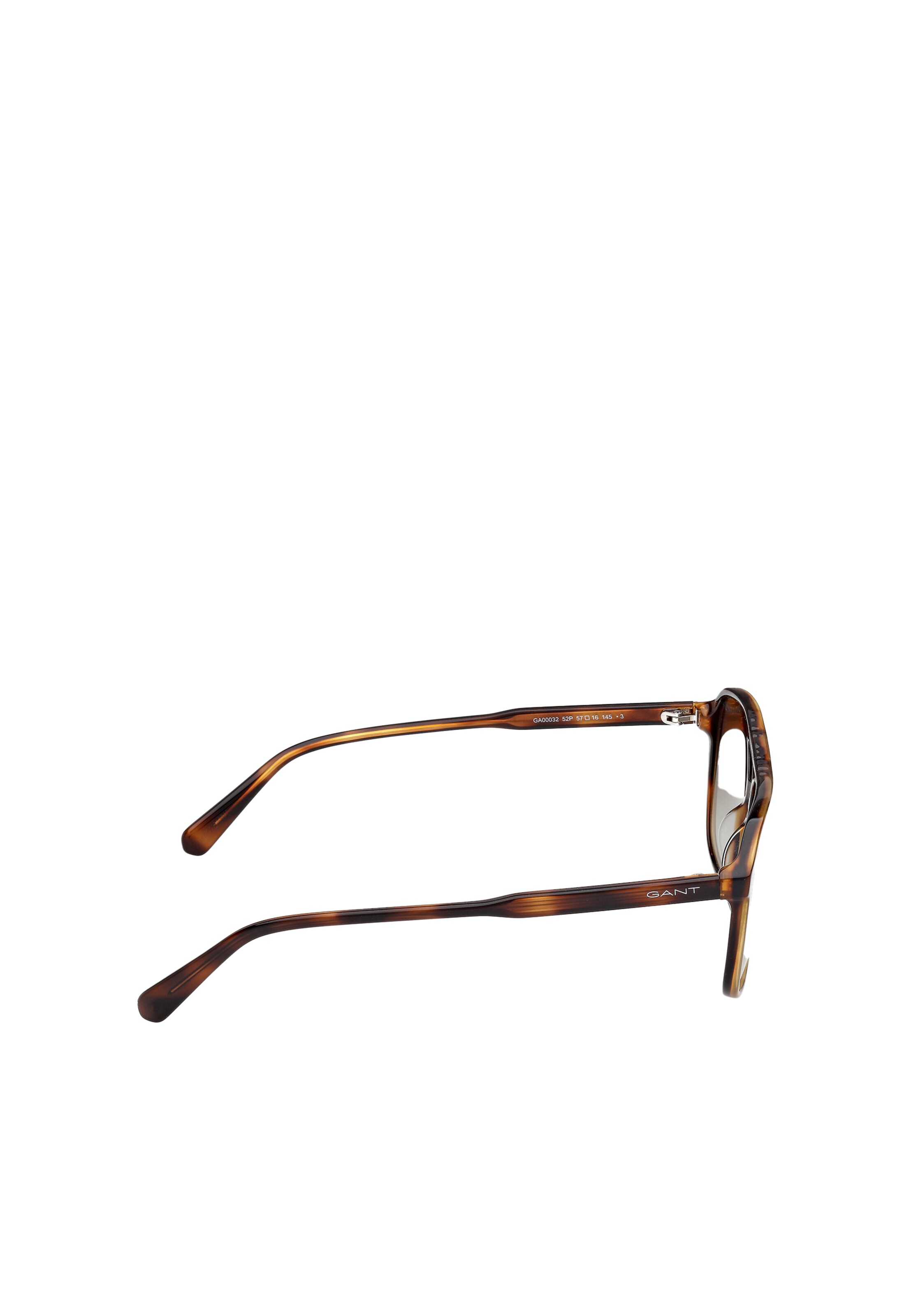 GANT Sunglasses in Brown
