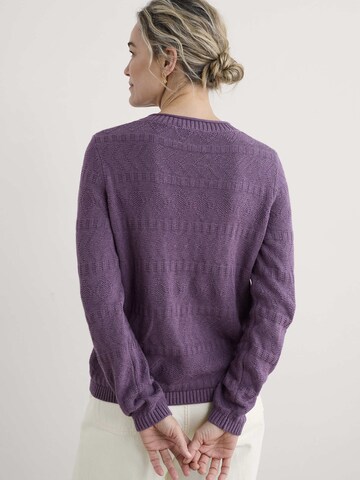 Seasalt Cornwall Pullover 'Kinter' i lilla