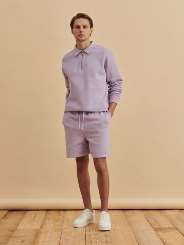 DAN FOX APPAREL Loose fit Trousers 'Sean' in Purple