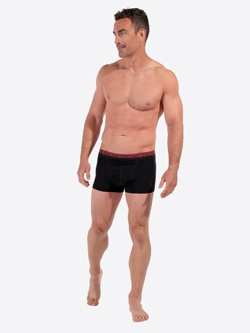 HOM Boxer shorts ' HO1 Terry 2 ' in Black