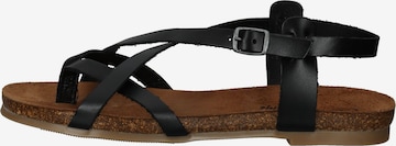 COSMOS COMFORT Sandalen met riem in Zwart