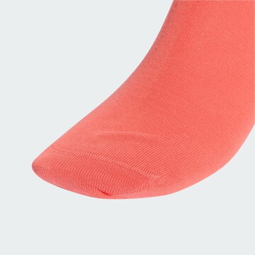 ADIDAS ORIGINALS - Meias em rosa