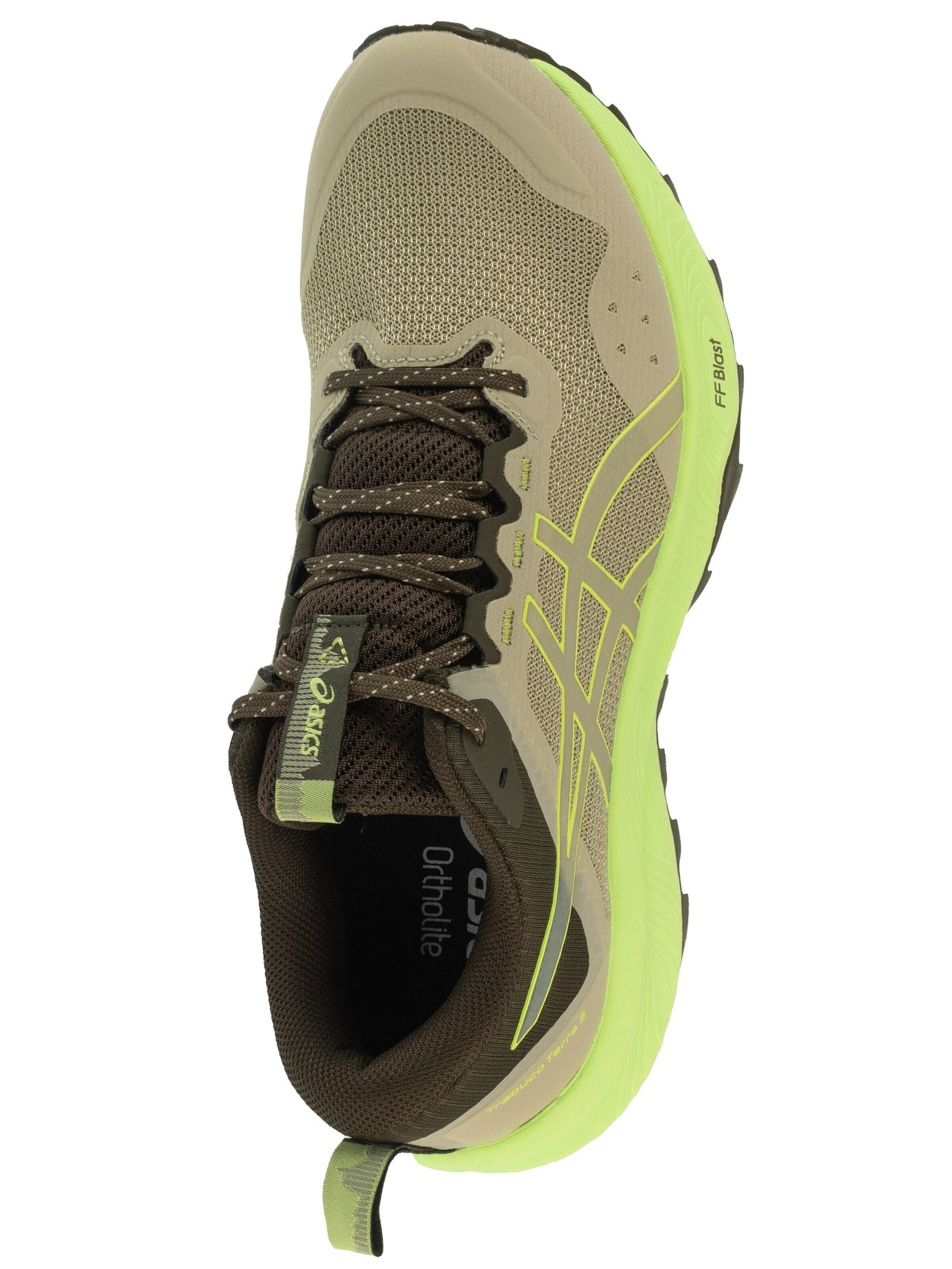 ASICS Laufschuh 'ASICS Gel-Trabuco Terra 3'‌ in Grün