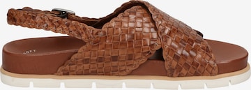 SIOUX Sandals ' Libuse-701 ' in Brown