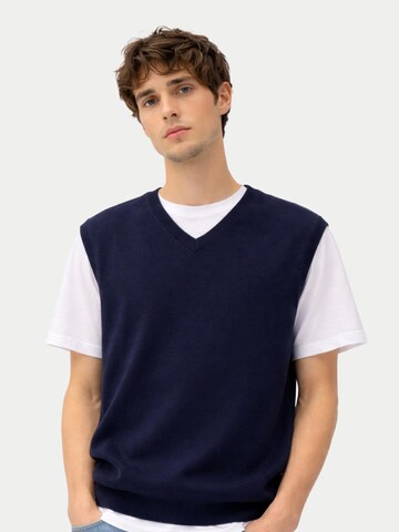 GOBI Cashmere Liivi 'Men's Essential V-Neck Cashmere Vest' värissä sininen: etupuoli