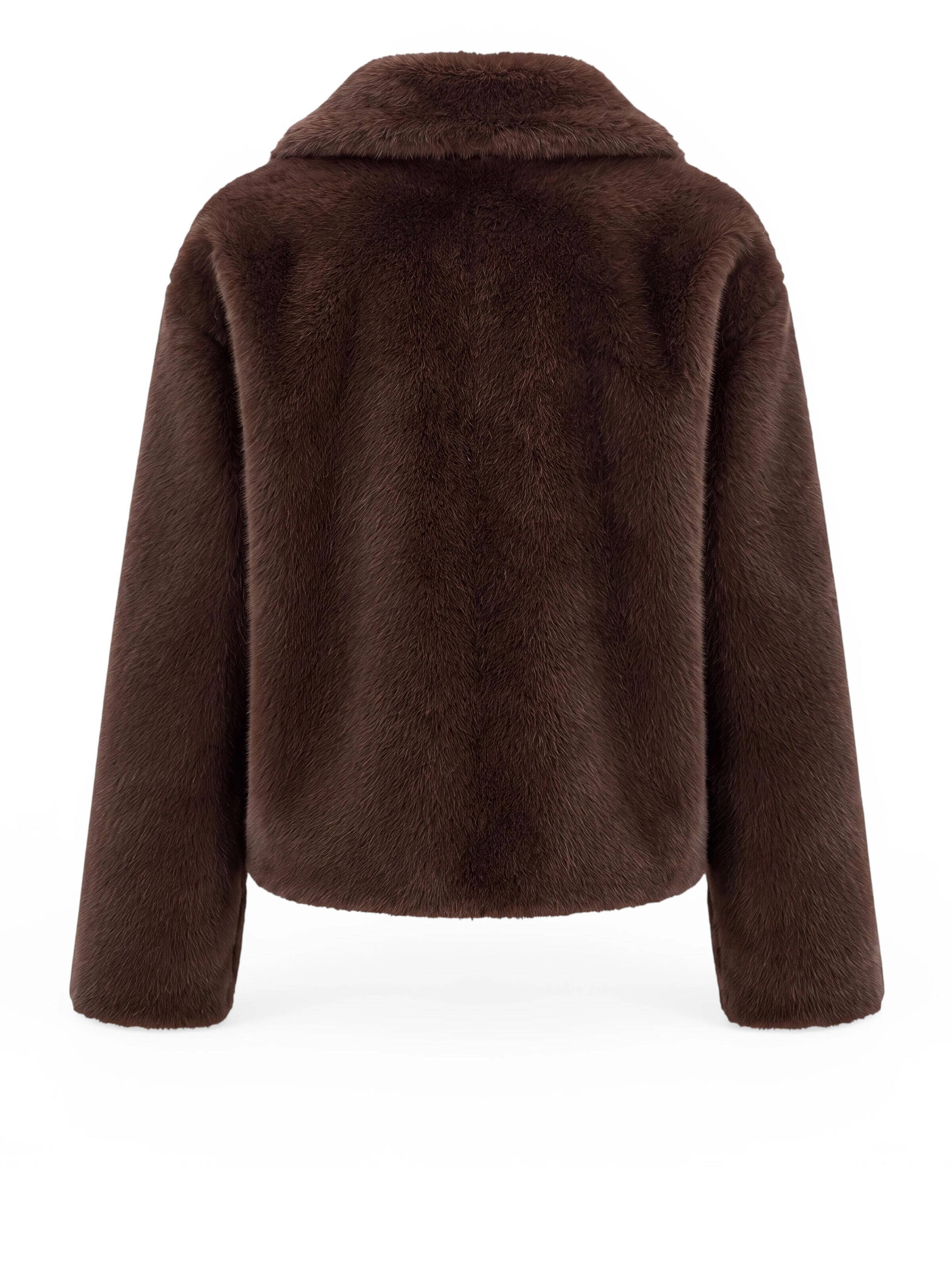 Funk since 1776 Winterjacke‌‌‌‌‌‌‌‌ in Braun